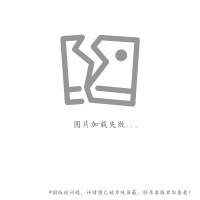 XU0313619